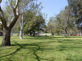 GRIFFITH PARK (02)