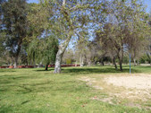 Enlarge photo 40