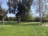 Enlarge photo 41