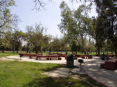 Enlarge photo 42