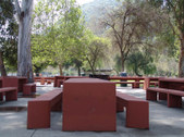 Enlarge photo 45