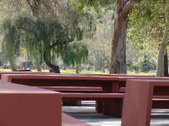 Enlarge photo 46