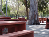 Enlarge photo 47