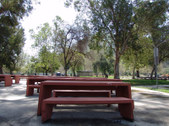 Enlarge photo 48