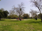 Enlarge photo 49
