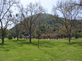 Enlarge photo 50