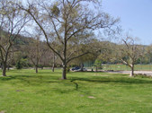 Enlarge photo 51