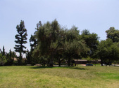 Enlarge photo 13