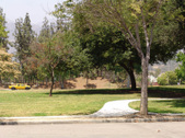 Enlarge photo 26