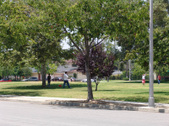 Enlarge photo 28