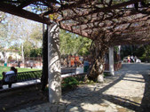 Enlarge photo 3