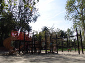 Enlarge photo 49