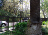 Enlarge photo 61