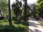 Enlarge photo 62
