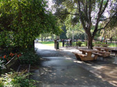 Enlarge photo 73