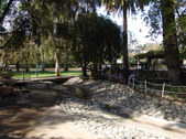 Enlarge photo 74