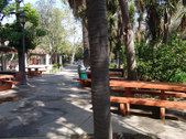 Enlarge photo 76
