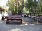 Enlarge photo 81