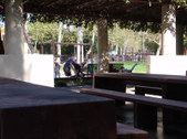 Enlarge photo 83