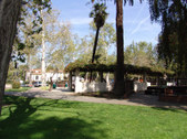 Enlarge photo 85