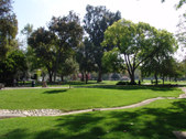 Enlarge photo 87