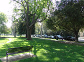 Enlarge photo 88