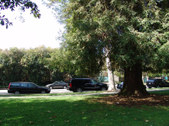 Enlarge photo 89
