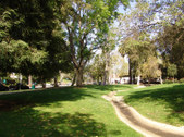 Enlarge photo 90