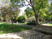 Enlarge photo 91