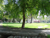 Enlarge photo 92