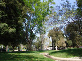 Enlarge photo 93