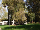 Enlarge photo 94