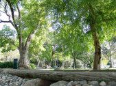 Enlarge photo 95