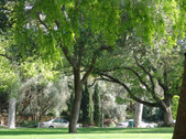 Enlarge photo 96