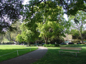 Enlarge photo 97