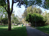 Enlarge photo 98