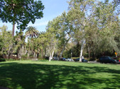 Enlarge photo 99