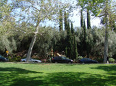 Enlarge photo 100