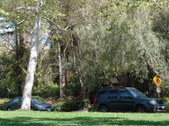 Enlarge photo 104