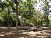 Enlarge photo 21