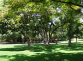 Enlarge photo 25