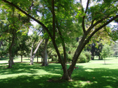 Enlarge photo 26