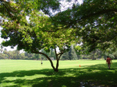 Enlarge photo 28