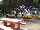 Enlarge photo 71
