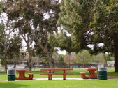 Enlarge photo 76