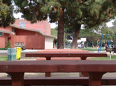 Enlarge photo 78