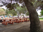 Enlarge photo 79