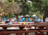 Enlarge photo 80