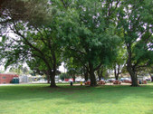 Enlarge photo 4