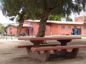 Enlarge photo 12